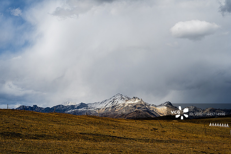 在塔公草原眺望雅姆雪山图片素材