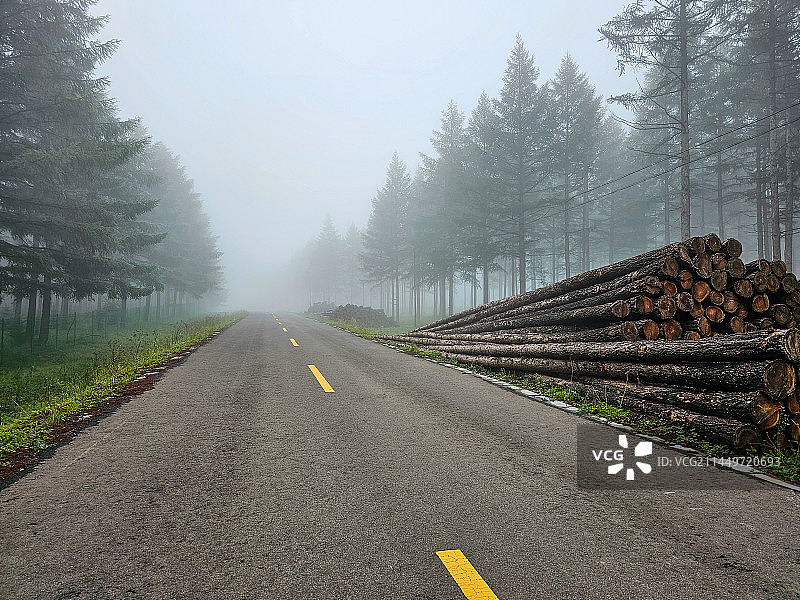 晨雾中的河北承德塞罕坝国家森林公园里的道路图片素材
