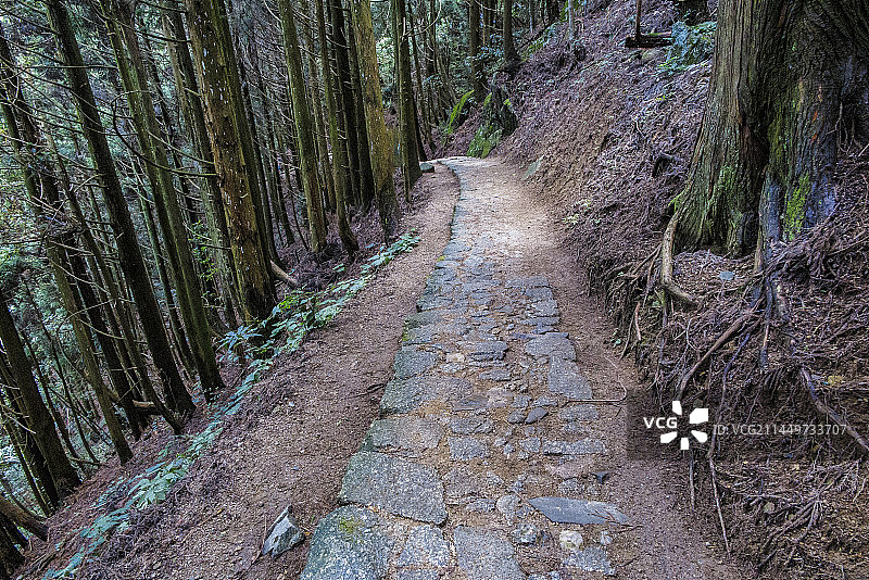 中国江西井冈山挑粮小道，黄洋界挑粮小道图片素材