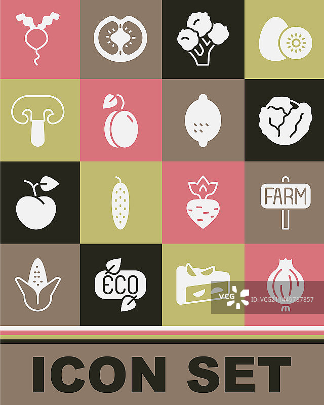 大蒜种植农场卷心菜西兰花李子素材图片素材