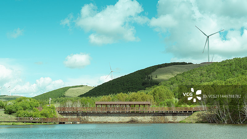 丰宁坝上 七彩森林图片素材