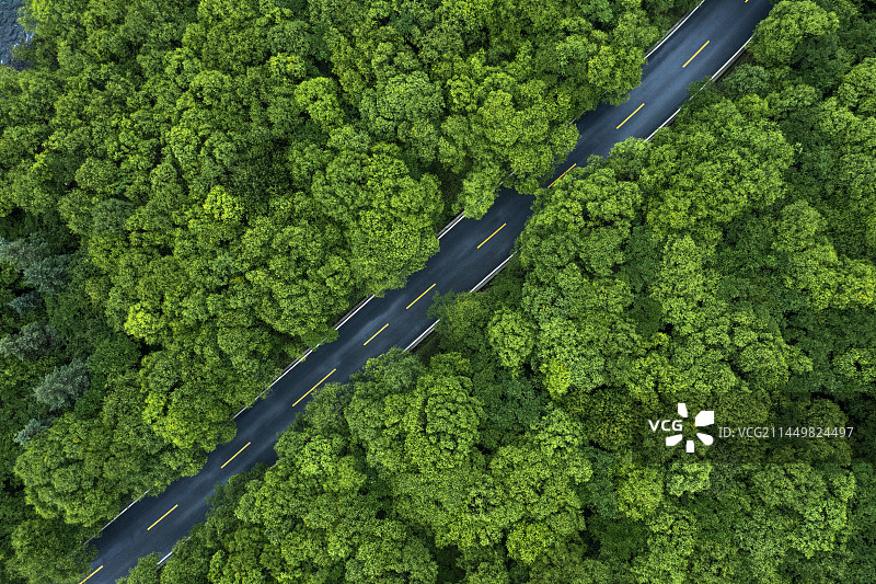 森林公路图片素材