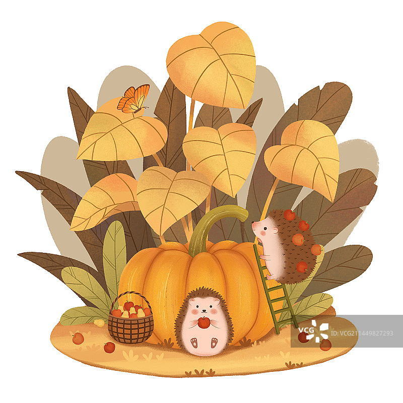 秋季刺猬小场景图片素材