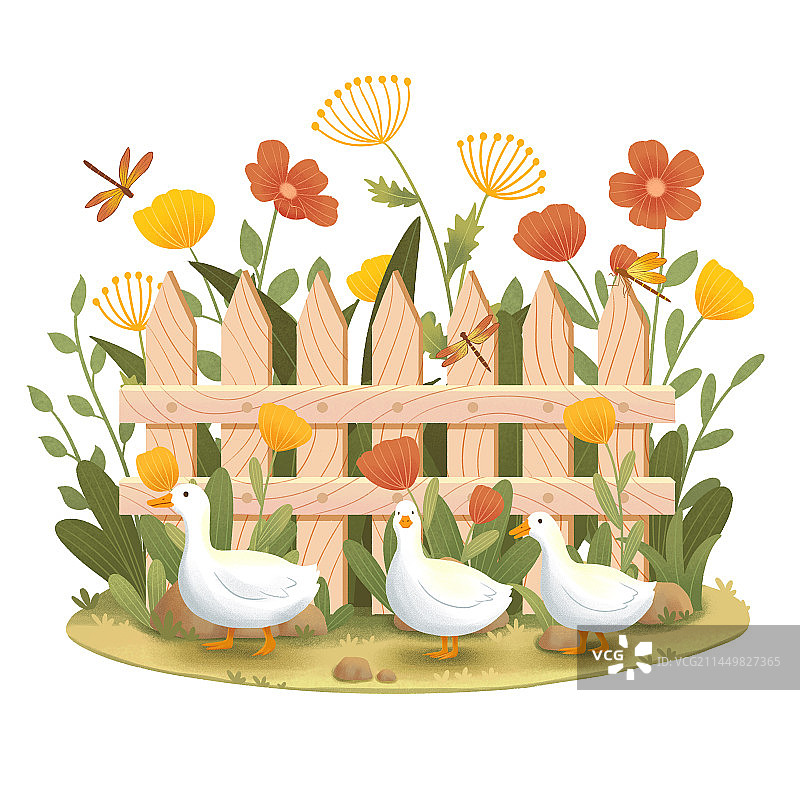 三只小鸭图片素材