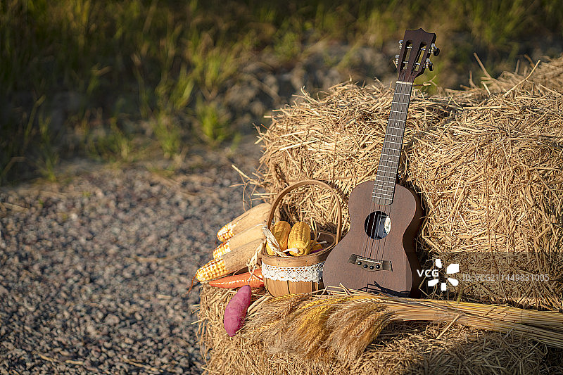 稻田旁稻草垛上摆放的农产品与乐器尤克哩哩图片素材