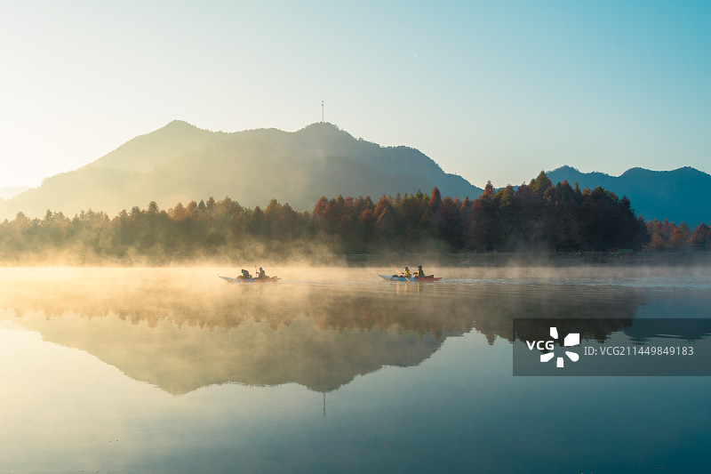 宁国落羽杉湿地公园晨雾图片素材