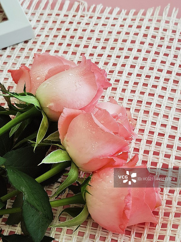 静物.玫瑰花物语（七夕节祝福）图片素材