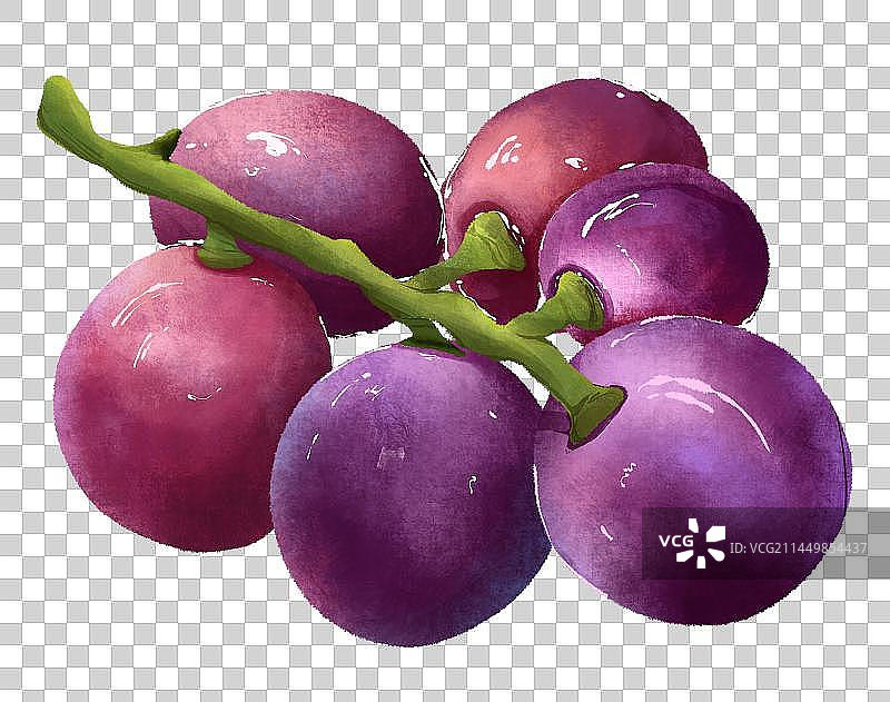 一串葡萄图片素材