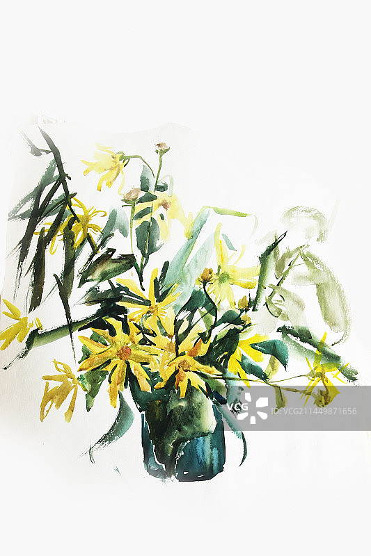 白色背景下的黄花植物特写镜头图片素材