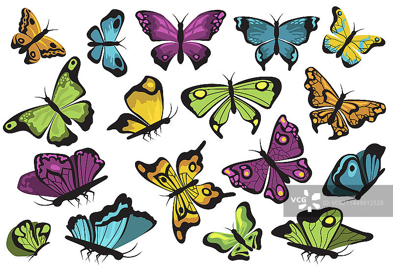 彩色蝴蝶套装图片素材