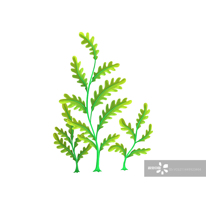 卡通海底世界水藻水族箱海藻图片素材