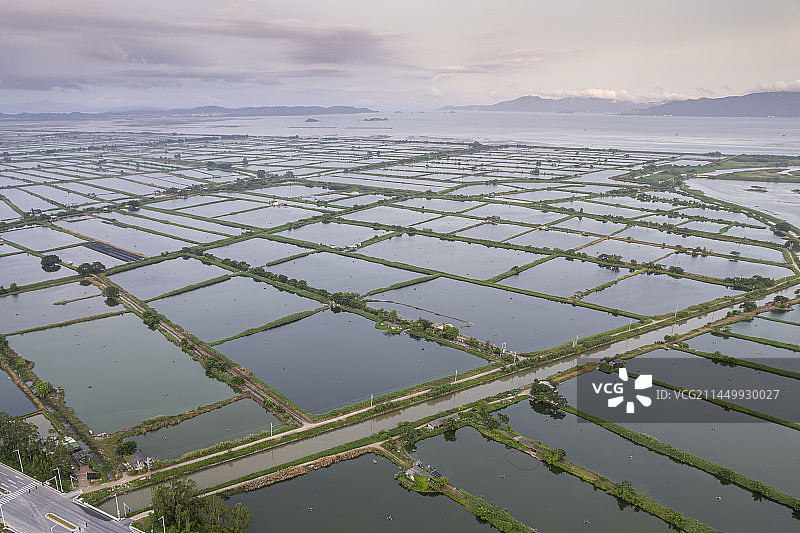 汕头市澄海区海水淡水鱼虾养殖渔业水塘无人机航拍图片素材