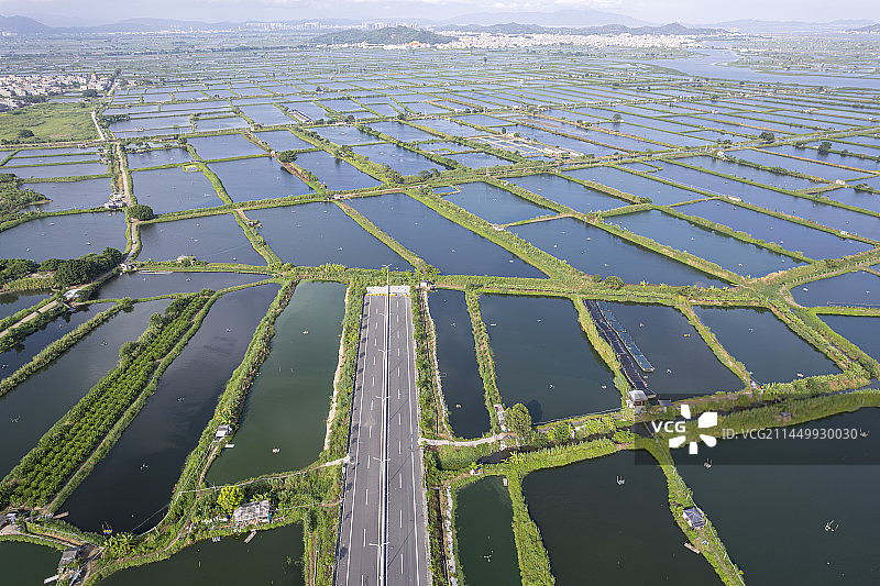 汕头市澄海区海水淡水鱼虾养殖渔业水塘无人机航拍图片素材