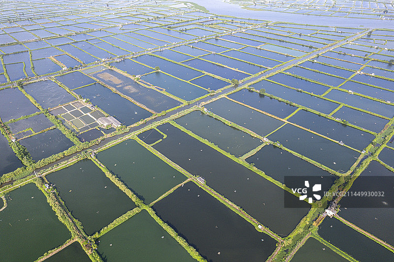 汕头市澄海区海水淡水鱼虾养殖渔业水塘无人机航拍图片素材