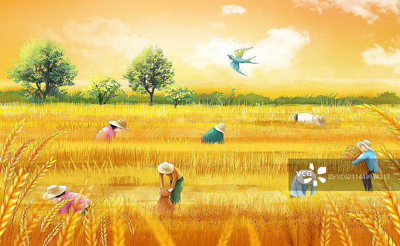 秋季丰收农忙季 金色稻田 农民丰收节人物插画图片素材