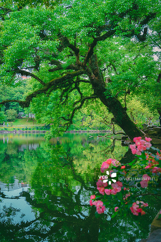 台州府江南景色图片素材