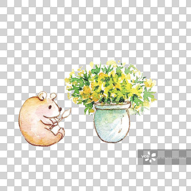 水彩手绘一个小熊和一个盆栽植物图片素材