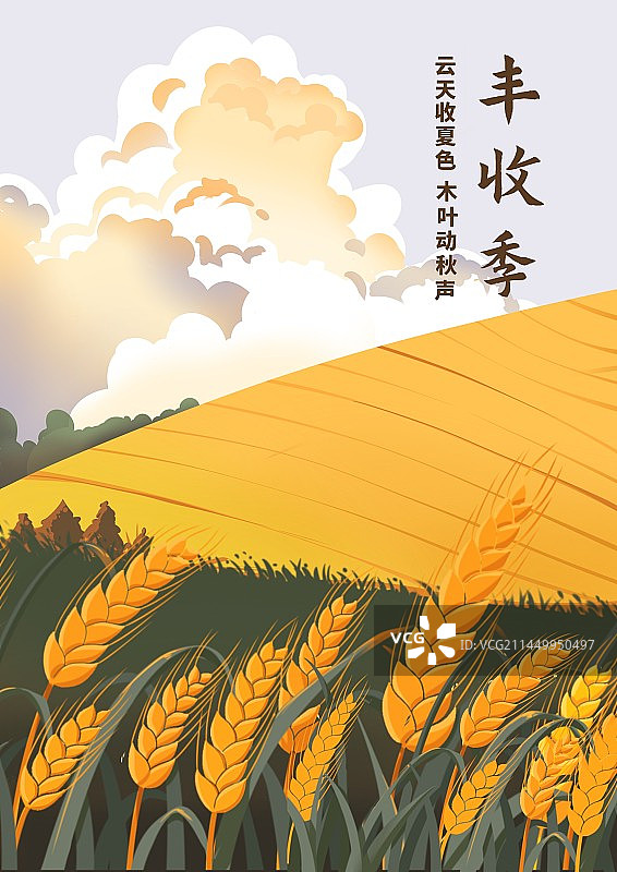 丰收季小麦田地图片素材