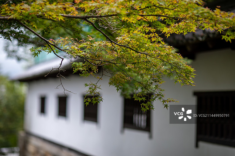 亚洲日本京都府知恩院的风光图片素材