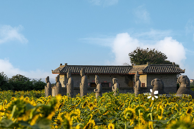 河南省郑州巩义市北宋皇陵永泰陵石像生和向日葵图片素材