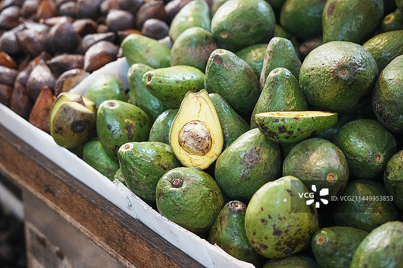 牛油果图片素材