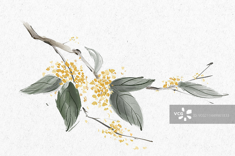 国画桂花水墨图片素材