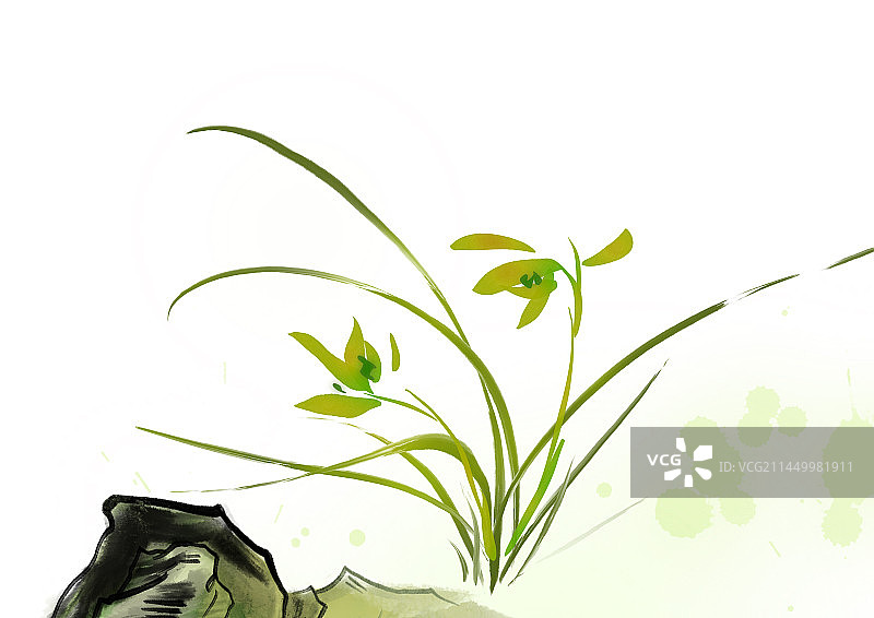 植物插画图片素材