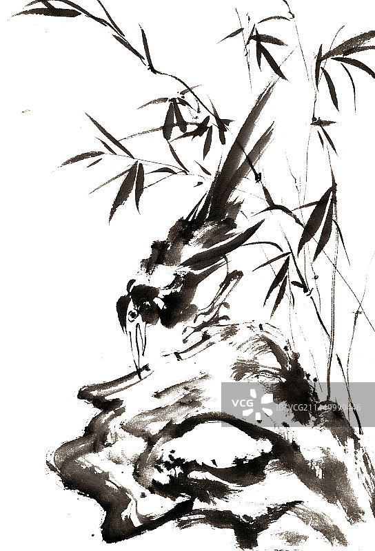 觅食的小鸟图片素材