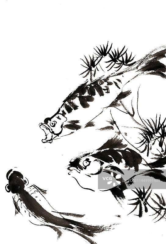 游泳的鱼图片素材