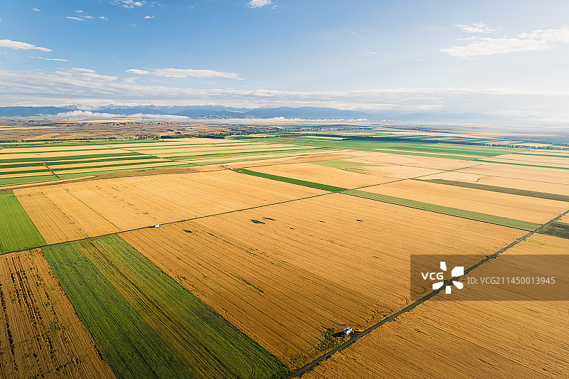 航拍昭苏麦田图片素材