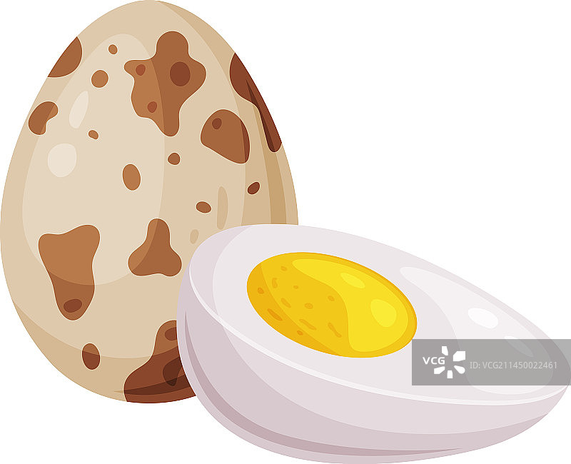 带壳和半个蛋黄的水煮鹌鹑蛋图片素材