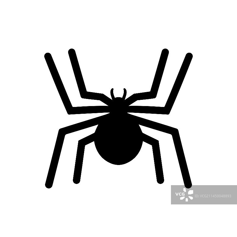 蜘蛛图标图片素材