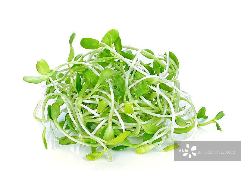 豆芽 (6)图片素材