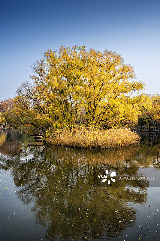北京紫竹院公园秋景图片素材