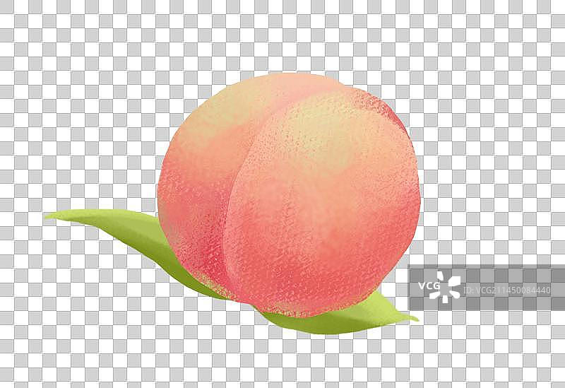 桃子水蜜桃各个角度切开一半插画手绘素材图片素材