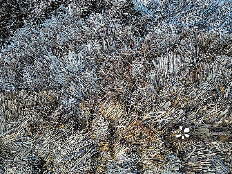 制作刨花板的原材料图片素材