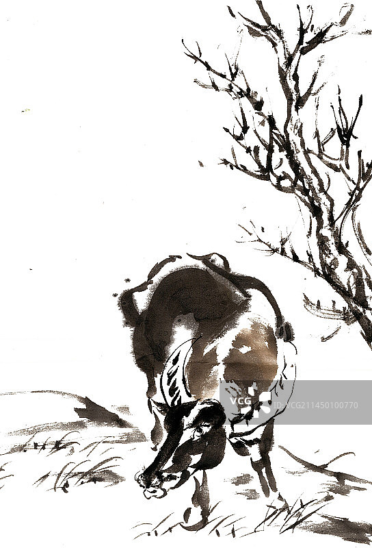 树旁的牛图片素材