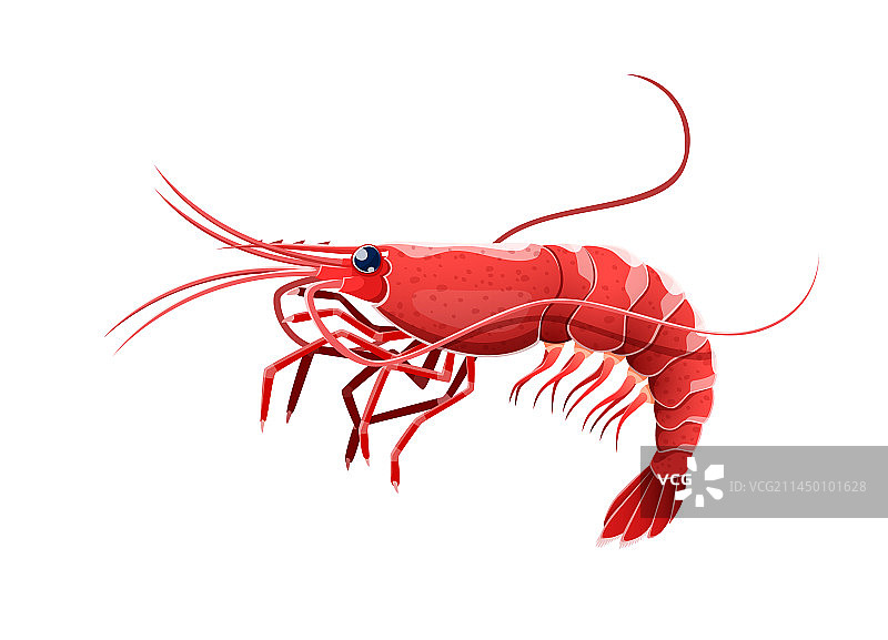卡通虾或对虾甲壳类海洋动物图片素材