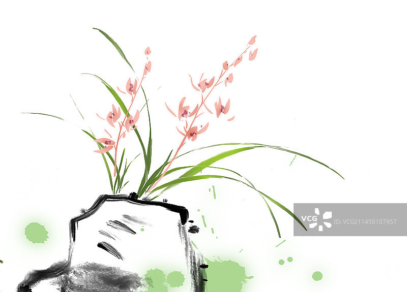 白色背景下盆栽植物的高角度视图图片素材