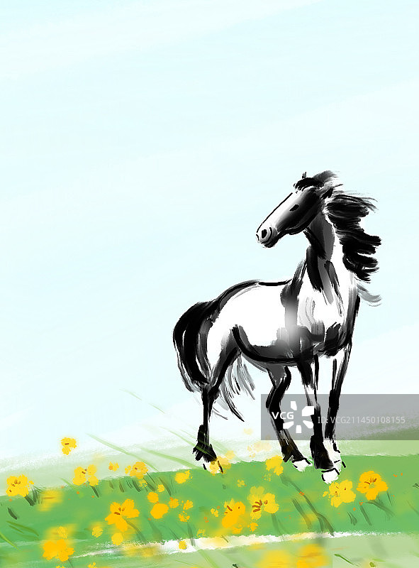 美丽的马在草原的背景上图片素材