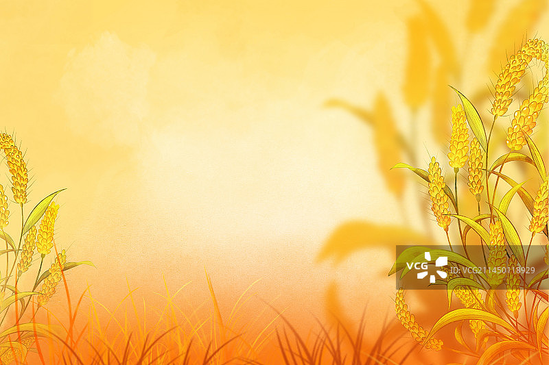 秋季丰收金色稻穗丰收节背景插画图片素材