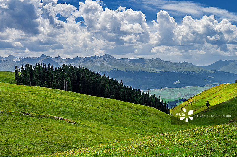 喀拉峻草原风光图片素材