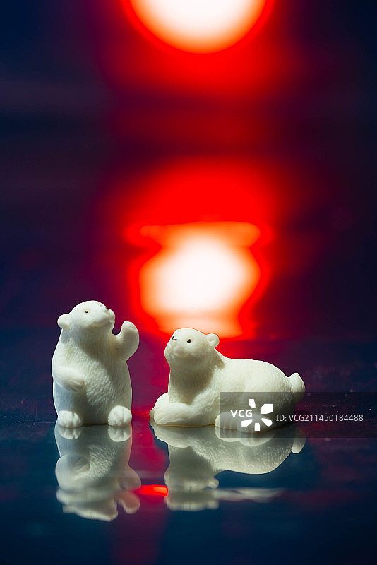 北极熊图片素材