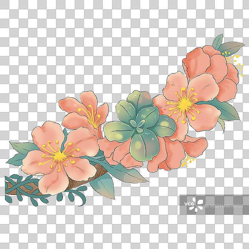 杜鹃花插画图片素材