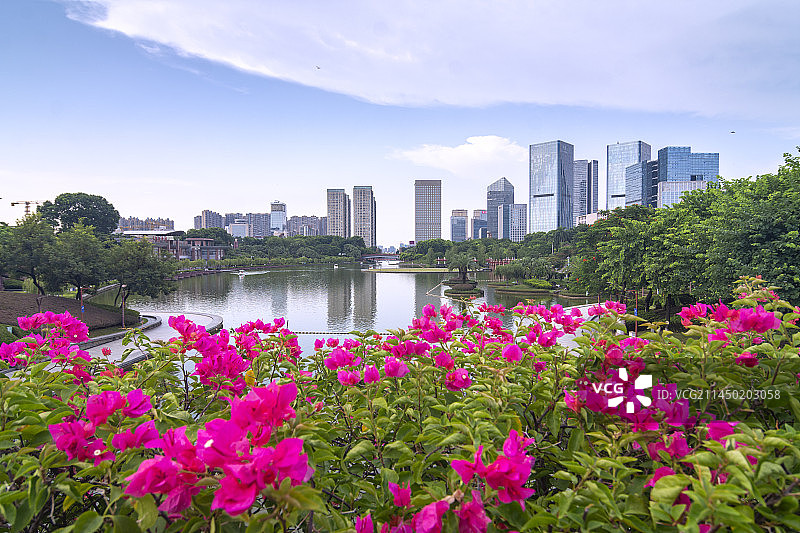 佛山市千灯湖金融高新区图片素材