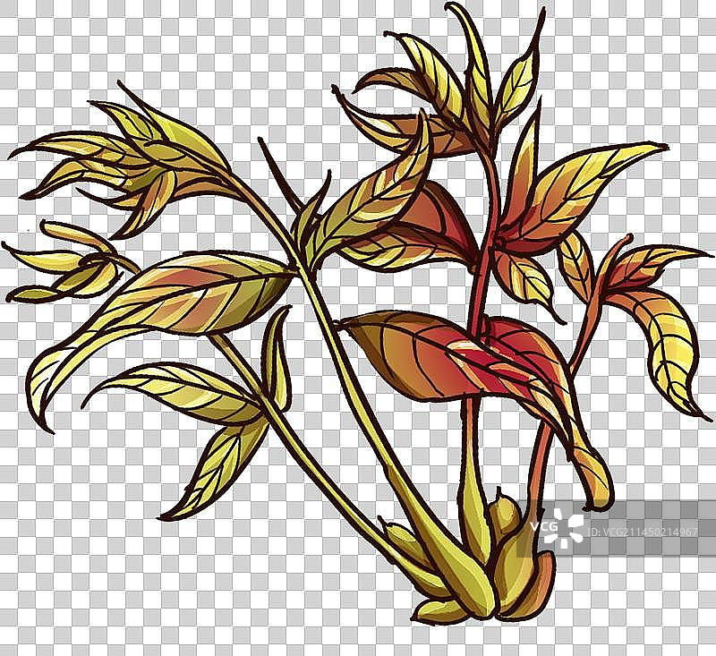 国潮风椿芽插画元素图片素材