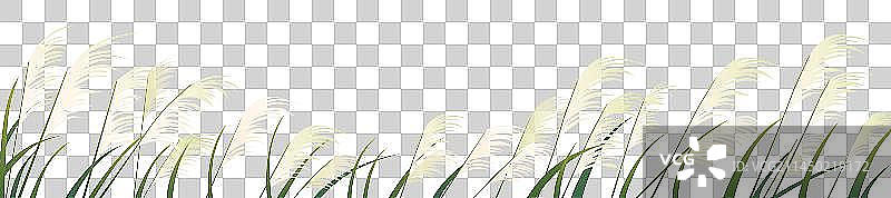 芦苇元素图片素材