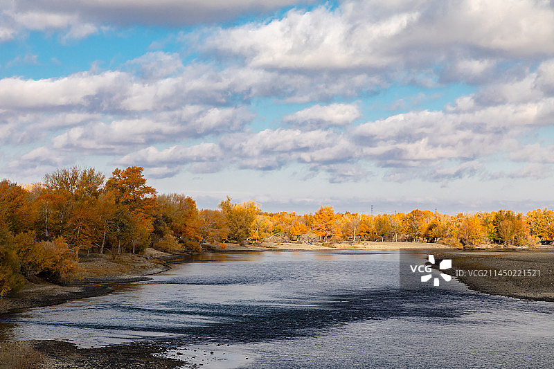 新疆秋景风光图图片素材