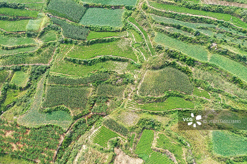 山东枣庄山亭区徐庄镇分水岭梯田初秋美景图片素材