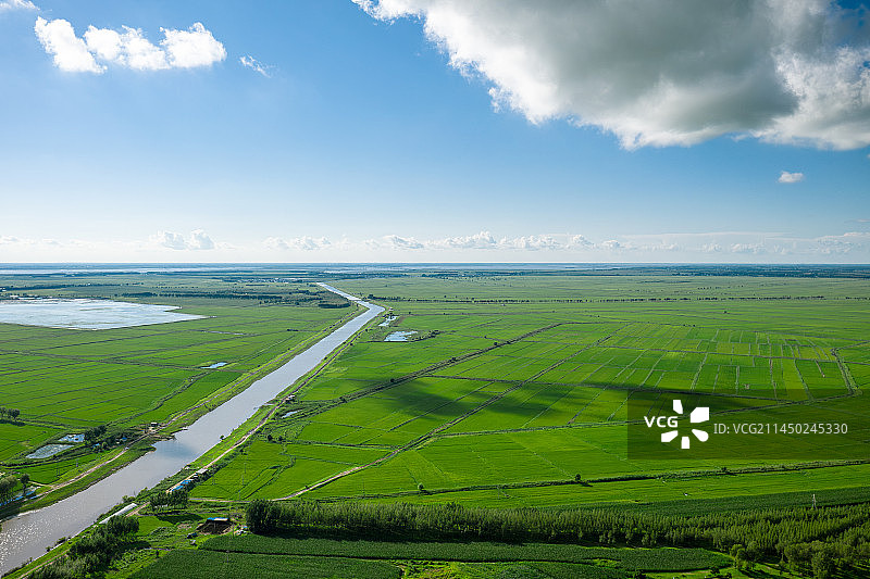 航拍高视角大庆市夏季绿色水稻田图片素材